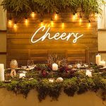 Cheers Neon Sign USB Powered with Dimmable Switch,LED Neon Light Sign for Wall Background Decor,Cheer Light Up Sign Neon for Bar Birthday Party Wedding 15 * 5.4 * 1in(Warm White)