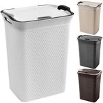 ZENQA Plastic Laundry Basket with Lid | Large 65 Litre Laundry Hamper Storage Washing Basket | Dirty Clothes Baskets with Handles | Laundry Basket Bin for Bathroom Bedroom (White)