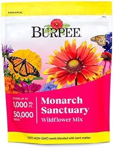 Burpee Wil