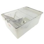 Polypropylene Rat/Mice Cages Animal Cages, Mice Cages, Rat Cages & Hamster Cages for Laboratory Used (Lab Animal Cages Polypropylene), Lab & Scientific Products, Size (290x220x140 mm)