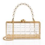 DODAMOUR Transparent Acrylic Shoulder Bag, Clear Crossbody Clutch Purse, Women Evening Clutch Bag, Clear