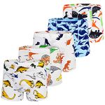 GRPSKCOS Boys Dinosaur Underwear- Pack of 5 Soft and Comfortable Boxer Shorts Briefs with Fun Colorful Dino Designs for Kids 2-4 Years Old(#1 Dinosaur,2-4 Years)