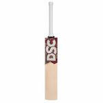 DSC Condor Player Edition English Willow Cricket Bat for Mens, Size-5