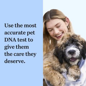 Wisdom Panel Dog DNA Test – Breed & Health Screening Kit