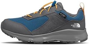 The North Face Junior Hedgehog Hiker II Waterproof Youth Hiking Boot, Vanadis Grey/Banff Blue, 6 US