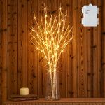 Hairui Twig Birch Branch with Fairy Lights 32in 100 LED Battery Operated Lighted White Willow Branch for Christmas Home Party Decoration Indoor Outdoor Use 2 Pack (Vase Excluded)