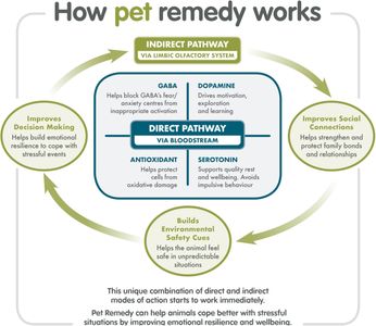 Pet Remedy Calming Starter Kit – Stress Relief for Pets