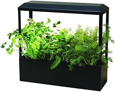 Modern Sprout Smart Growhouse LED Grow Light for Indoor Plants - Plant Grow Light Indoor Gardening System & Herb Garden Kit w/Smart App - Decor Countertop Planter for Herbs, Houseplants - Matte Black