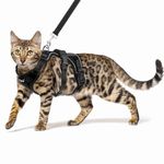 PUPTECK Black cat Harness,s