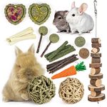 Labeol 27 PCS Rabbit Toys Set for Teeth Care and Exercise, Natural Wooden Treats for Hamster Guinea Pig Rabbit Rat Chinchilla and Gerbils, Boredom Breaker Accessories for Small Animals