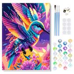 MOGTAA Framed Paint by Number Kits for Adults Beginners, Colorful Hummingbird Paint by Number for Adults on Canvas Framed, DIY Oil Painting Kits Art Crafts for Home Wall Decor(12x16inch)