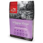 ORIJEN Puppy Large Dry Dog Food, Grain Free Dry Dog Food for Puppies, Fresh or Raw Ingredients, 6 Kg