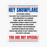 (Pack of 2) Hey Snowflake You are F