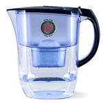 Life Ionizer - Pitcher of Life Improved 2021 - Super Alkaline Water Filter Pitcher - Premium Water Alkalizer & Purifier with Replaceable Ionizer Filter