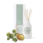 Anko Australia Prosecco Pear Diffuser | Alcohol-Free Formula | Plant Solvent | Essential Oil, Coloured Glass Reed Vessel & 8 Diffuser Sticks | Pear & Apple | 11.5cm (H) x 5.5cm (D) | 1 Pack