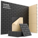 12 Pack Acoustic Foam Panels 12"X12"X0.4" Soundproof Foam Wall Decoration Sound Deadening Panels High-Density Soundproof Wall Panels, Sound Absorbing Panel for Home & Offices(Black)