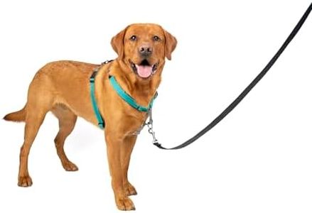 PetSafe 3 in 1 Harness and Car Restraint, Large, Teal, No Pull, Adjustable, Training for small / medium / large dogs