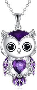 AINFQY Owl Necklace Jewelry Gifts for Women Sterling Silver February Birthstone Cubic Zirconia Owl Pendant Necklace Christmas Jewelry for Women (02-February)