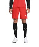 Puma Men's Bermuda Shorts (704924_Red-White