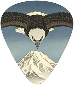 EUPRE Eagle Snow Mountain 12 Pack Guitar Picks Light Pick Triangle Pick