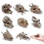 Bbiamsleep 8 Pcs 2.3 Inch Animal Skulls Figurine Resin Mini Skulls Dinosaur Alien Animal Skulls Decor Ornament Mini Skull Heads for DIY Projects Halloween Christmas Decoration