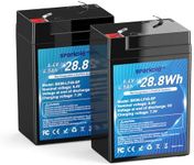 6V 4.5Ah LiFePO4 Battery 2 Pack, In