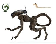 ALIENS ALIEN 3 DOG ALIEN ULTIMATE 7IN ACTION FIGURE