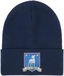 Bioworld Ted Lasso AFC Richmond Navy Tall Cuff Beanie