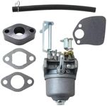 Carburetor for Toro 119-1977 Fits Toro 38272 38282 Power Clear 180 Snowthrower, 2010 - With Gaskets & Fuel Line