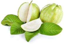 Indian Guava || 1.5 KG || £13.99 || FPG4U ||