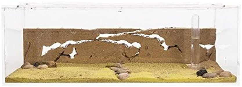 Sand Ant F