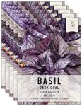 Seed Needs, Dark Opal Basil - 500 Heirloom Seeds for Planting Ocimum basilicum - Annual Culinary Herb to Plant Indoors or Outdoors, Non-GMO & Untreated (5 Packs)