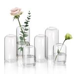 Small Flower Vase Set of 6, Glass Bud Vases in Bulk, Clear Vases for Flower, Decor Centerpiece for Bathroom, Decorative Vases for House Warming, Valentines' Day, Mother's Day, Thanksgiving Day