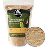 Pets Pro Premium Foxtail Millet Kangni Seeds for Birds Food, 500gm, Nutrient-Rich, All Life Stages, Canaries, Finches, Waxbills, Budgies, Lovebirds, Cockatiels, Parrots, Parakeets Under 100