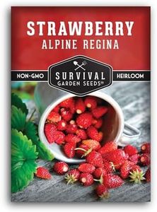 Alpine Regina Strawberry Seed for Planting - 1 Packet with Instructions to Plant & Grow Wild or Woodland Strawberries in The Home Vegetable Garden - Non-GMO Heirloom Variety - Survival Garden Seeds