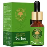 Old Tree Pure & Natural Tea Tree Essential Oil (15ml) - for Skin, Diffusers, Hair, Body, Acne, Nail care - Undiluted Essential Oil with Dropper for Aroma Therapy and Stress Relief