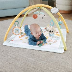 Fisher-Price Baby Playmat Gym – Soft Activity Mat for Infants