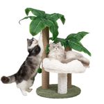 Cat Scratching Post Palm Tree with Bed Cloud Cute Cat Tree for Indoor Large Cats 3 Scratching Poles Sisal Hanging Balls for Cat Perch Cat Scratcher for Kitten and Adult Cats Tower Climber