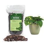 Premium Pothos Potting Soil Mix - Air Cleaning Plant Potting Mix, Soil Mix for Pothos, Parlor Palm, Peace Lily - (2 Liters Bag)