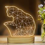 CooPark Cat 3D Night Light, Illusion Lamp Light up Kitty LED Soft Warm White Color, Best Bedroom Decor Xmas Halloween Birthday Gift for Kids Child Girl Boy