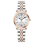 Szaikyri Classic Watch for Women with Easy Read Time Arabic Numerals Ladies Watch with Calendar Water Resistant (Silver-Rosegold Black)