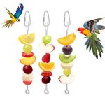 Bird Cage Food Holder Fruit Hanger 3Pcs, Parrot Fruit Vegetable Skewer Fruit Hanger Bird Cage Feeder Foraging Toy for Parakeet Budgie Macaw