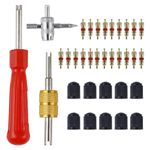 33 Pcs Car Tyre Valve Removal Tool Set | Tyre Valve Repair Kit | Dual & Single Head Valve Core Remover | 4-Way Valve Tool | 10 Pcs Tire Valve Caps | 20Pcs Valve Cores | Fit for Car Bicycle Auto