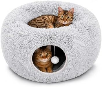 Cat Tunnel