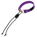 eCollar Replacement Strap Bungee Style - Dog Shock Collar Replacement Strap - Dog Collar for Shock Collar - Replacement Collar - sportdog Replacement Collar (Purple, 3/4" - Width)