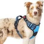 rabbitgoo Dog Harness Medium Sized,