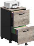 VASAGLE 2-Drawer File Cabinet, Fili