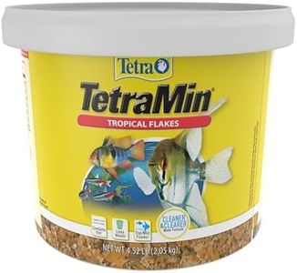 Tetra Tetr
