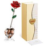 Mikasol Gold Dipped Real 24K Forever Preserved Rose, 1 Pack Infinity Flower Decor Hand Dipped Romantic Gift for Women in Her Wife Girlfriend Birthday Anniversary Valentines Mothers Day Christmas(Red)