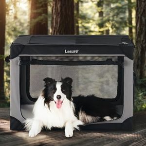 Lesure Sof